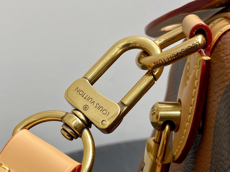 LV Speedy Bags